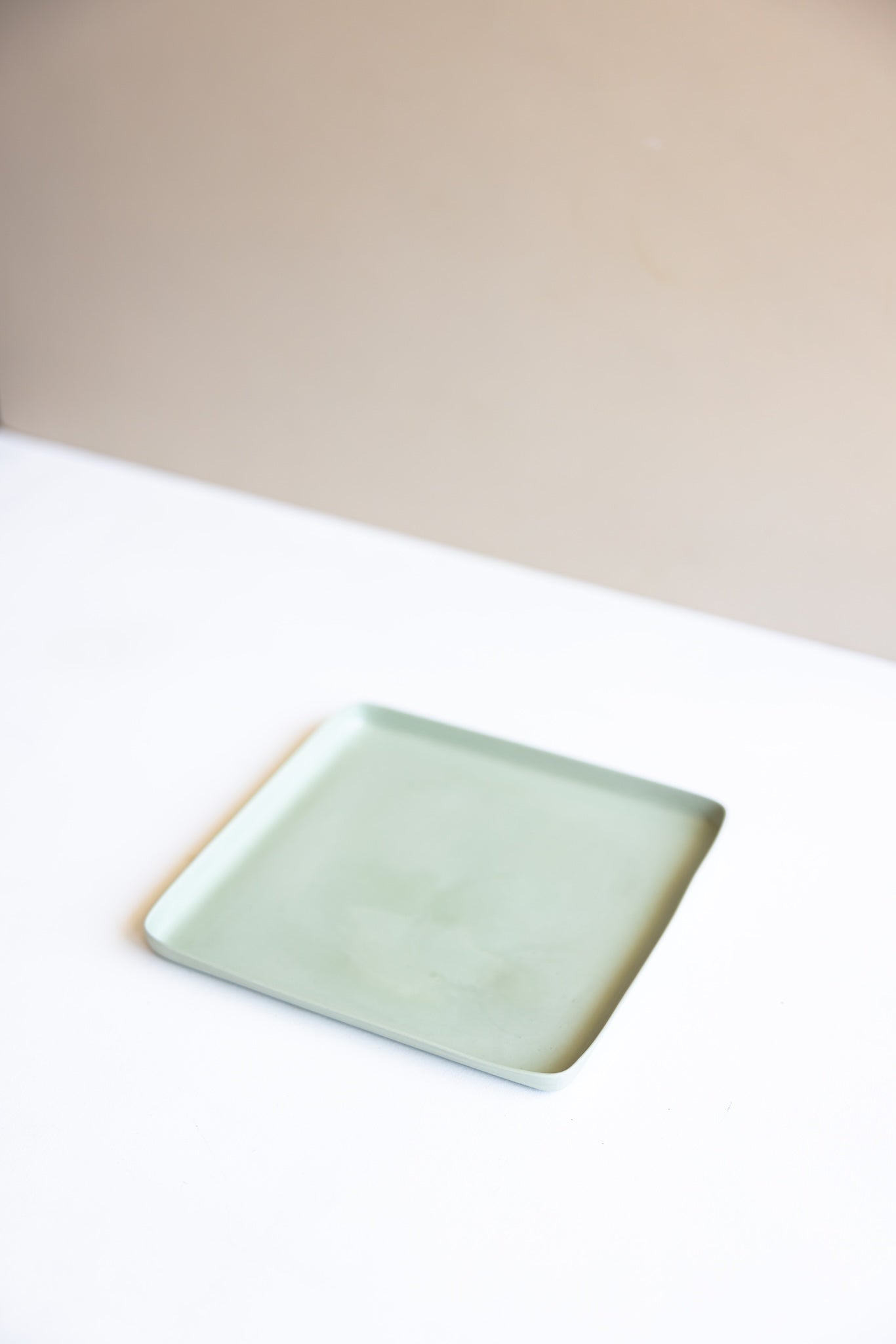 Tetra Flat Plate 17cm