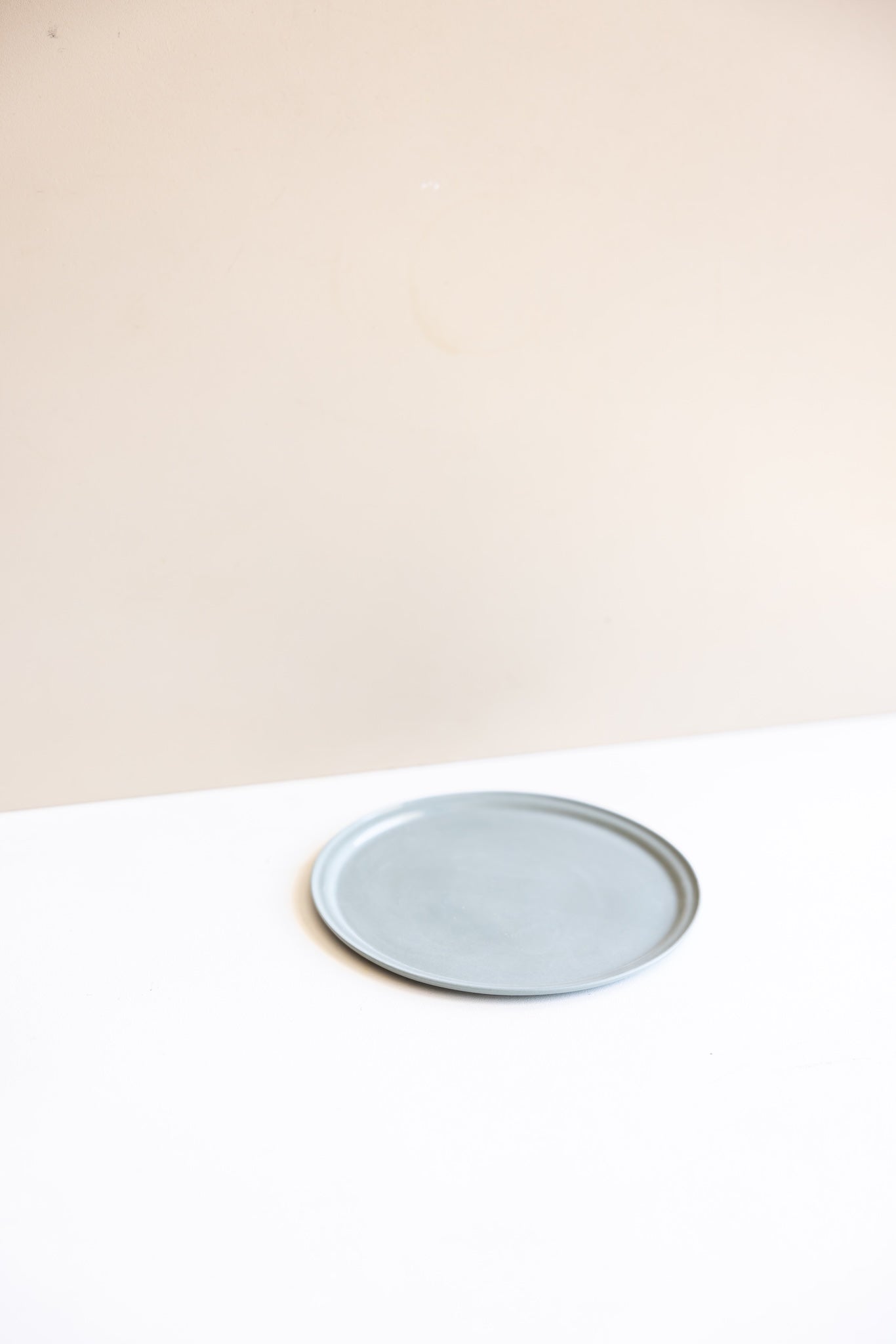Disc Plate