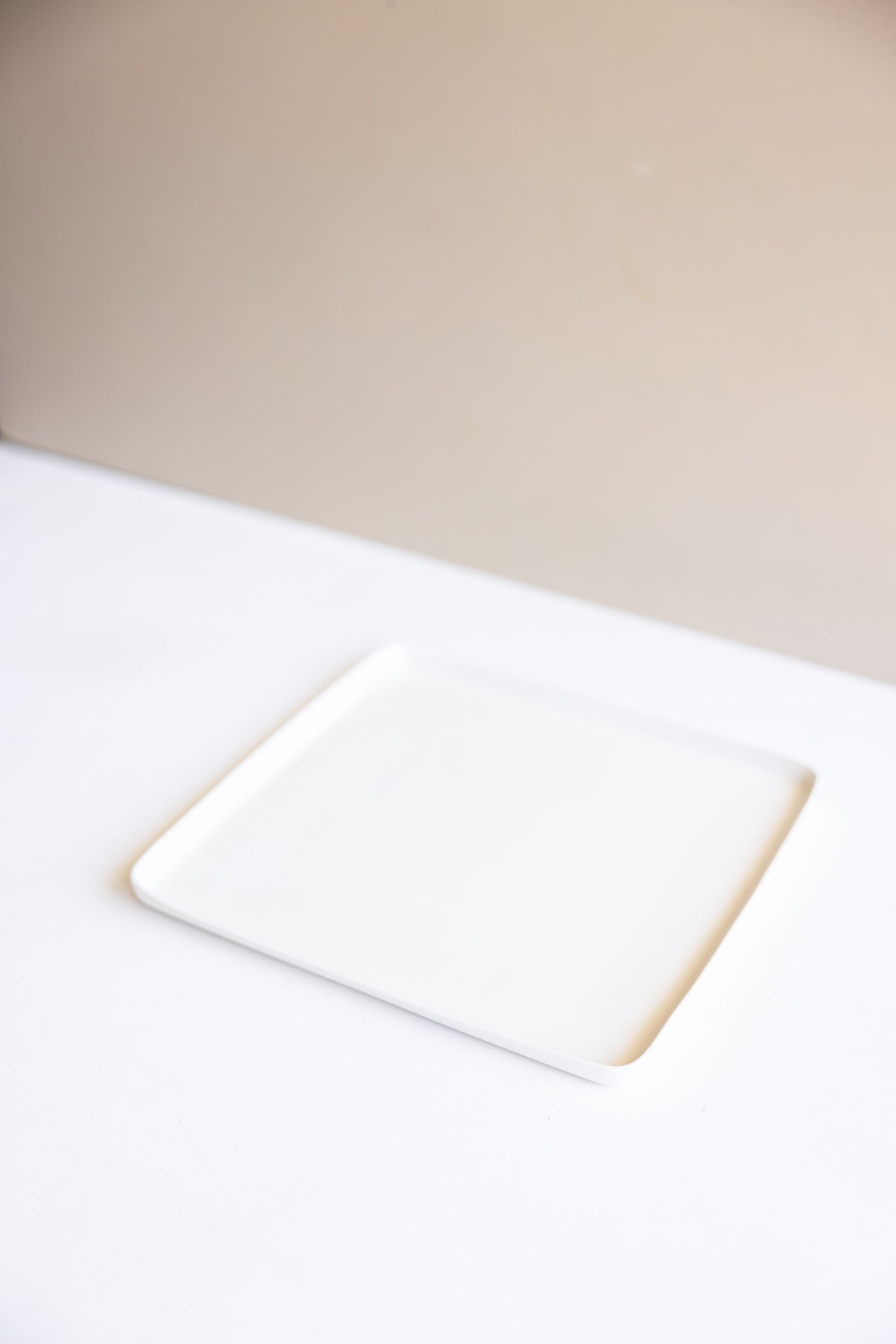 Tetra Flat Plate 17cm