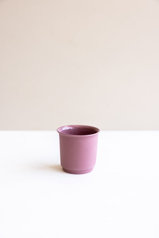 Paper Cup